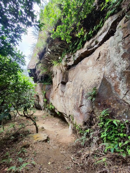 南雅山-門牙岩-鐵達尼岩-海園古道-鼻頭角3040482