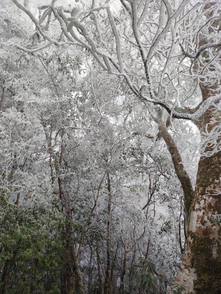 雪季北得拉曼2956395