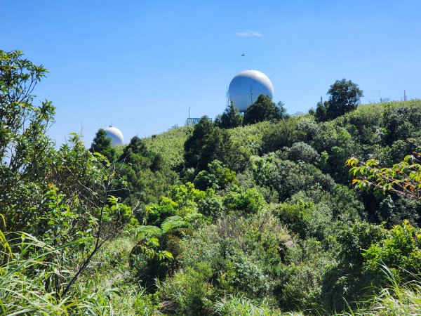 小百岳No.10⛰五分山2883157