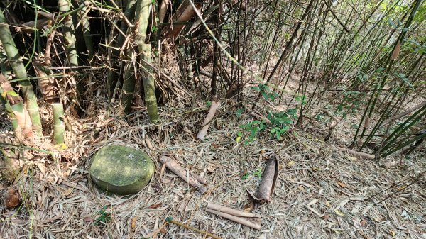 112/1/8苗栗縣頭屋鄉曲洞宮-墨硯山北峰-墨硯山-曲洞宮O型1992965