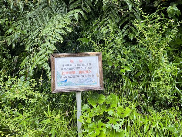 [玉山尋寶任務-01/12] 2025_0726 庫哈諾辛山登山步道2847375