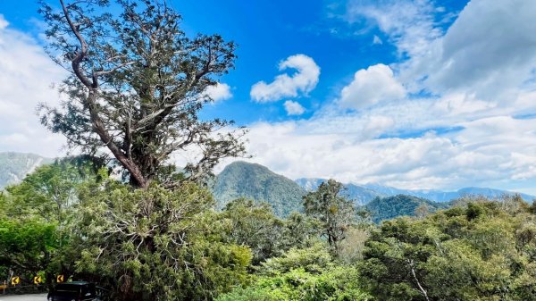 🌈4/19(六)~中橫小百岳-卡拉寶山+百岳~石門山FB：熊熊趴爬走🌈2765882
