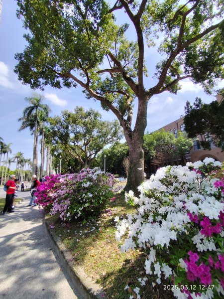 內湖運動中心→勞工保險局→南門市場→台灣電力公司→國立臺灣大學2734278