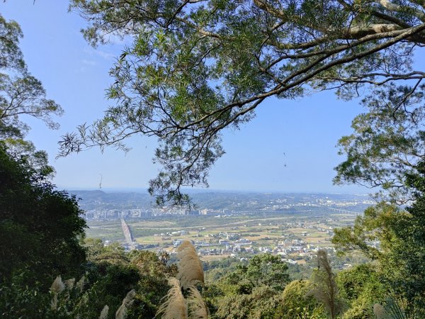 2024.01.02 飛鳳山2832146