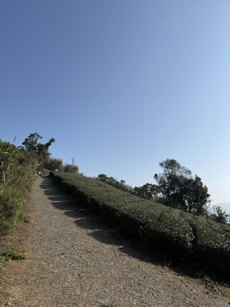 69雲嘉8連峰3084267