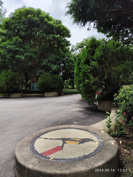 大安森林公園、永康公園、大港墘公園 - 內科嘉年華會 戲曲•特技之夜2577763