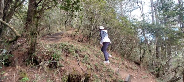 20250114東埔山；20250115二延平步道2693804