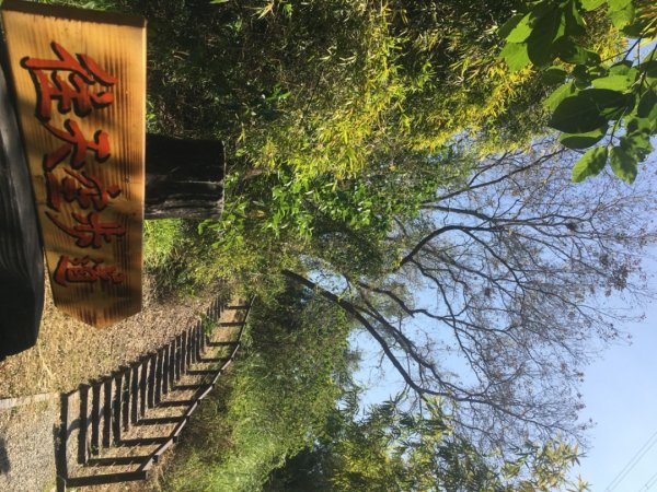 關廟森林公園、天空步道2423613