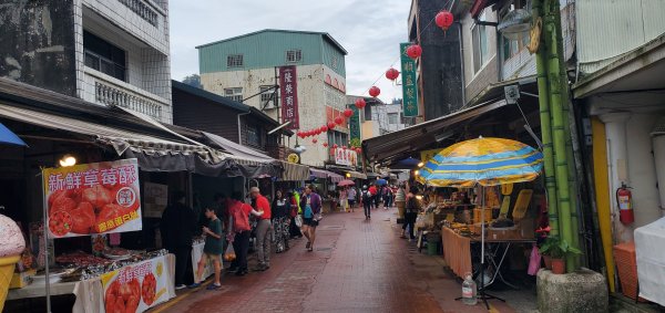 2024-05-18梨子腳山步道2507963