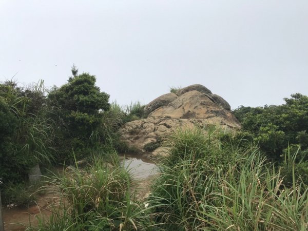 雨神同行里龍山1053539