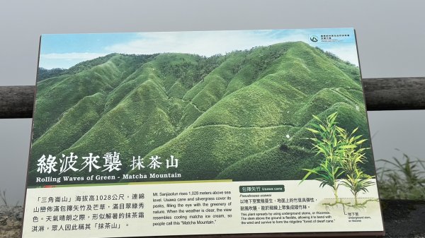 聖母登山步道～抹茶山2291909