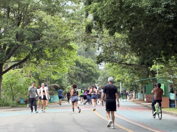 [紐約馬之行-68] 2025_1116 伊比拉布埃拉公園-中2955107