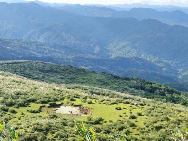 2023.11.23 桃源谷內寮線登灣坑頭山2503643