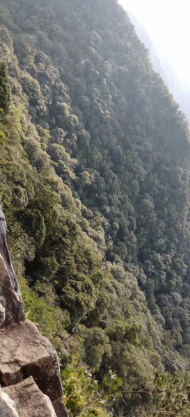 中級山-鳶嘴稍來2889006