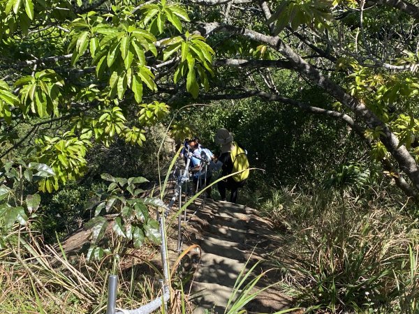 2025微笑山線大縱走尋寶集章任務-Ep.11【五分山系】平溪小黃山段｜慈母峰 × 孝子山2908912