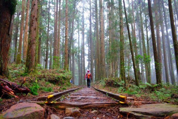 迷霧幽幽~特富野古道691940