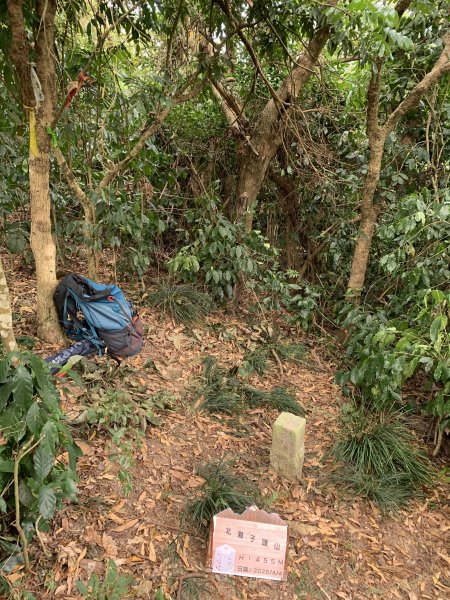 20250404屏東北獅子頭山-霧里乙山2757411