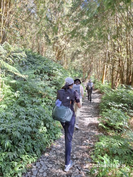 2025.01.24~26 北大武山 三天兩夜〈雲海、夕陽、檜木、鐵杉、藍天...〉2700317