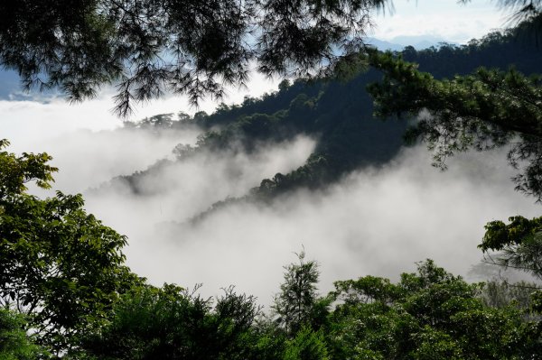 臺中 新社 頭嵙山2309740