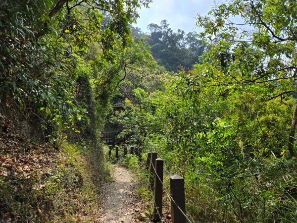 龍麟山步道2748675