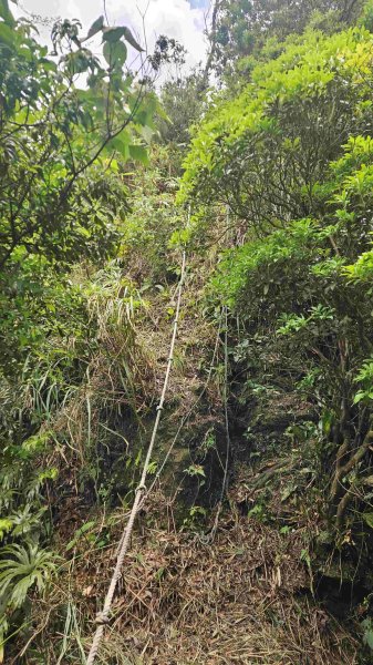 20250516九芎坑山-司公髻尾山-鑽石峰-人頭面山-南勢坑大尖-小尖山主前峰2787669