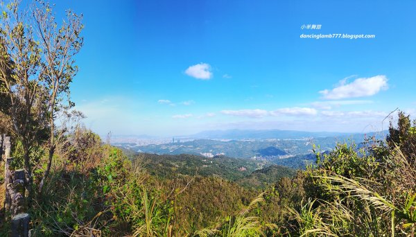 【新北】二格山步道：半小時登頂坐擁大台北2805185
