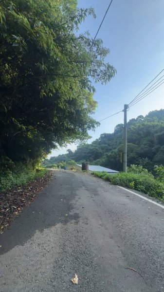 新竹橫山-大山背麒麟步道2628823