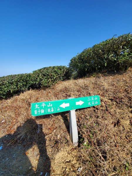 勇闖雲嘉五連峰821326