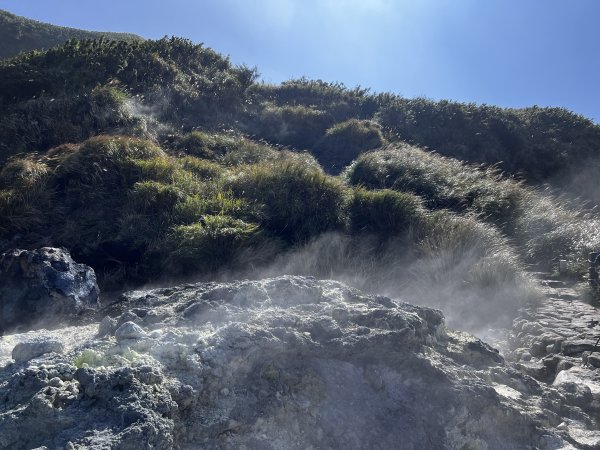 陽明山東西大縱走（冷水坑-清天宮） 2024/1/112417503