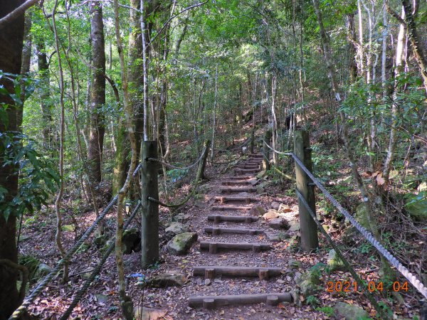 高雄 桃源 中之關步道1334929