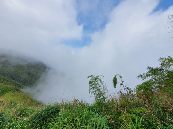 【雲嘉】連峰茶道之美1717468