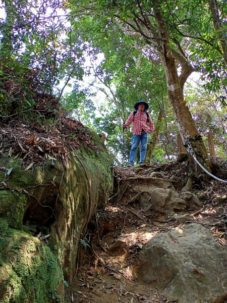 【苗栗-臺灣百大必訪步道】泰雅族抗日的馬那邦山登山步道1347685