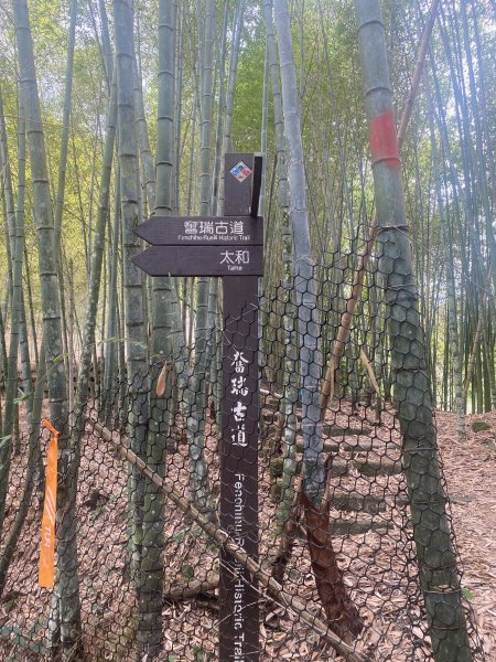 1120329奮瑞古道2643561