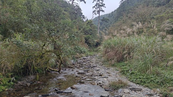 棲松縱走未竟2918336