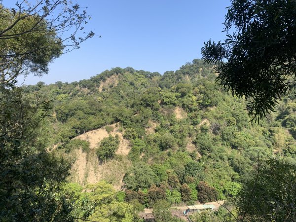 20250322南投松柏坑山-大棚山2745847