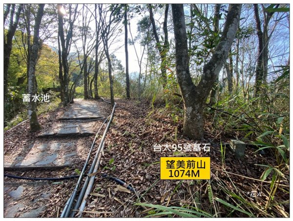 獵人古道、望美山、瓊山 連走3011759