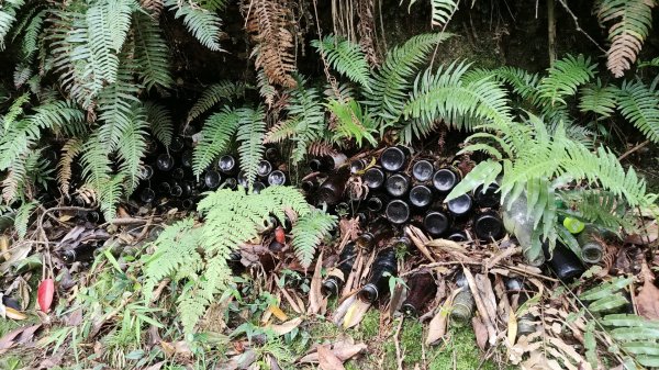 2025/7/12、7/13 西巒大山2839183