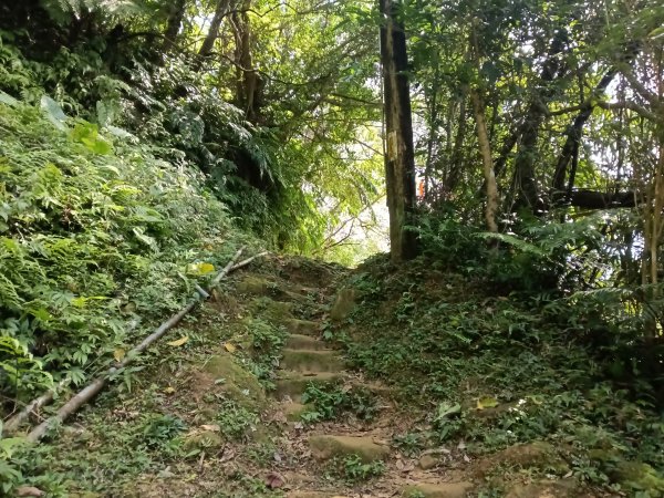 平溪區大華步道+幼坑古道+幼坑崙(大華車站-三貂嶺車站)2925264