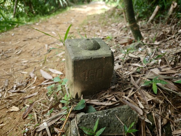 [淡蘭古道] 2026_0523 南路第一段_土地公嶺古道3069444