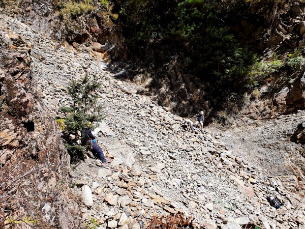 【跟著鹿野忠雄上玉山】走讀山、雲與蕃人1604562