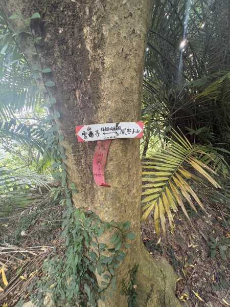 20251101烏山縱走北段 雲山寺至刣牛湖山(途經風空子山.孟璋山.烏山.刣牛湖山北峰)2928761