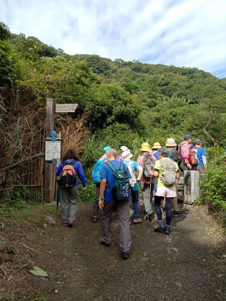 輕鬆漫步坪頂古圳步道→清風亭→大崎頭步道→聖人瀑布→士林官邸公園1499236