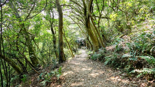 《蝶戀花。五色春深》2731660