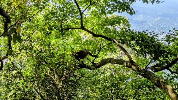 大尖山。走向2770859