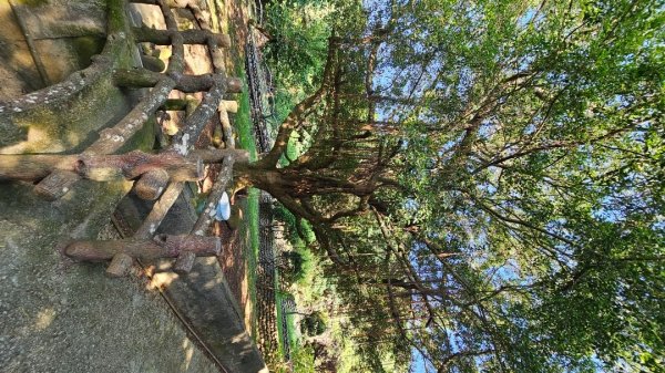 【誰是本尊？誰又是分身？】解鎖第53座小百岳#038鐵砧山2903837