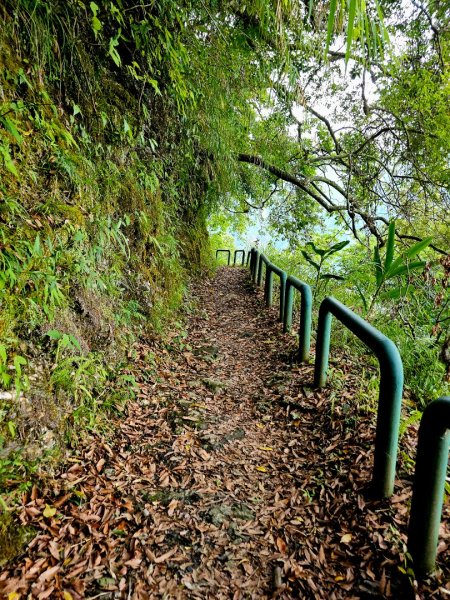 瓦拉米步道(登山口至佳心段)-(花蓮)臺灣百大必訪步道2789421