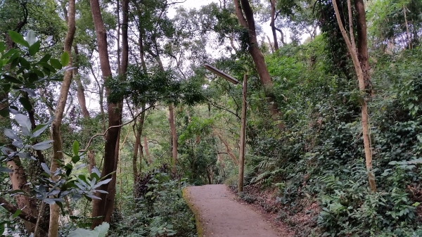 彰化縣田中鎮-田中森林登山步道89964