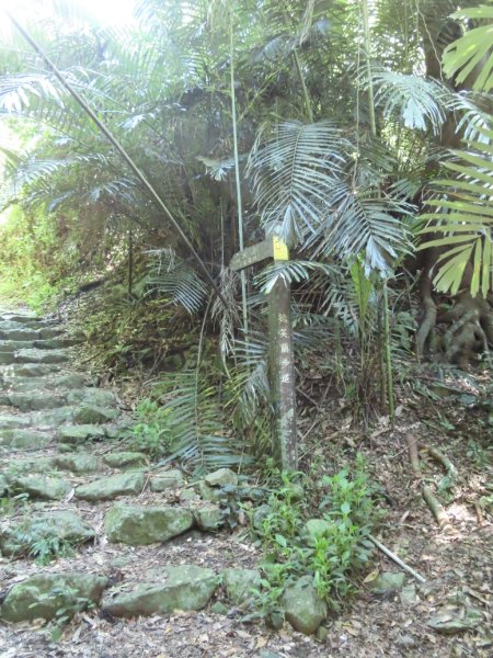 德芙蘭生態步道O形2829440