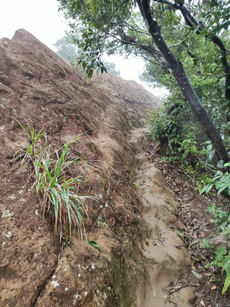 微笑山線：【二格山系】皇帝殿稜線段2955963