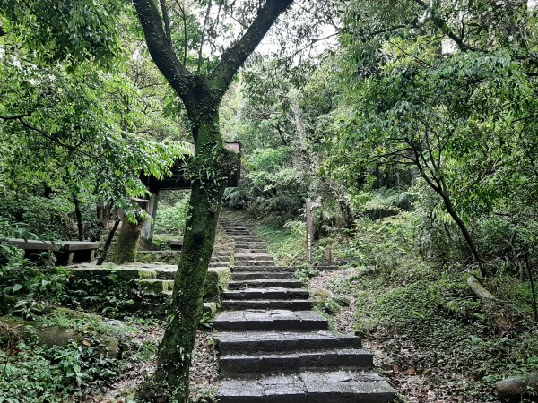 110 年春 登七星山1345740